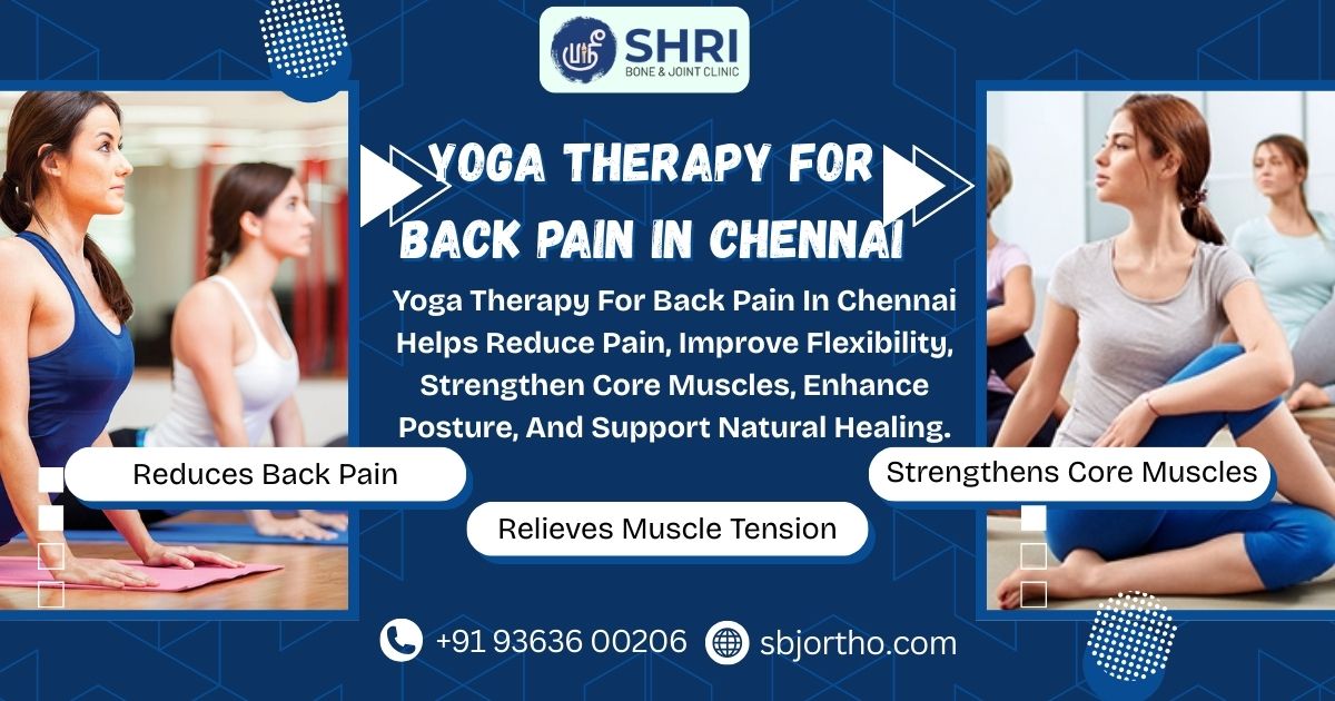Yoga Therapy for Back Pain in Chennai - SBJ 7